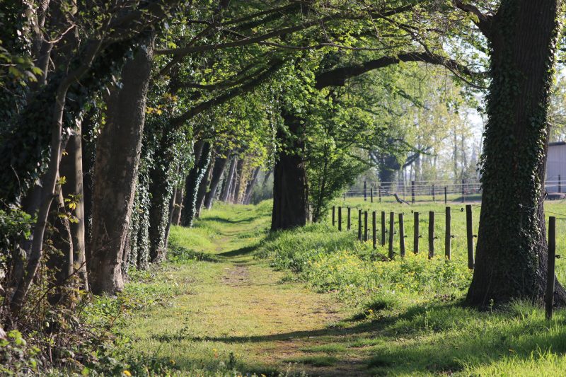 Pferdeweiher Frühjahr 2019