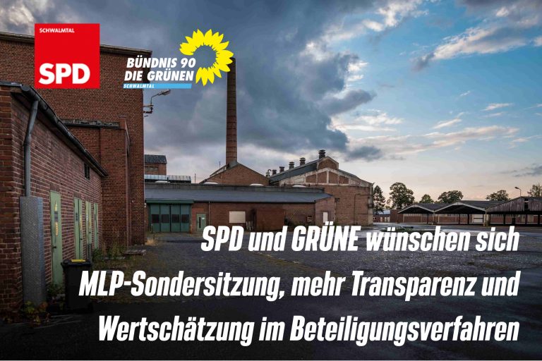 Rösler-Brache:  Zusammen mit der SPD erwägen wir eine Sondersitzung zu MLP-Plänen