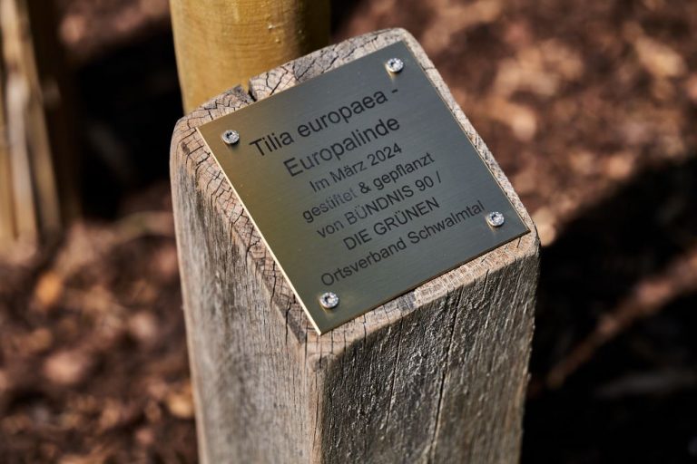 Europabaum am Europatag übergeben